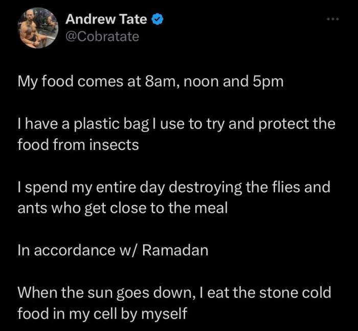 Câte mese pe zi primesc frații Tate. Andrew Tate a dezvăluit în ce condiții este servită mâncarea în închisoare: "Am o pungă de plastic”