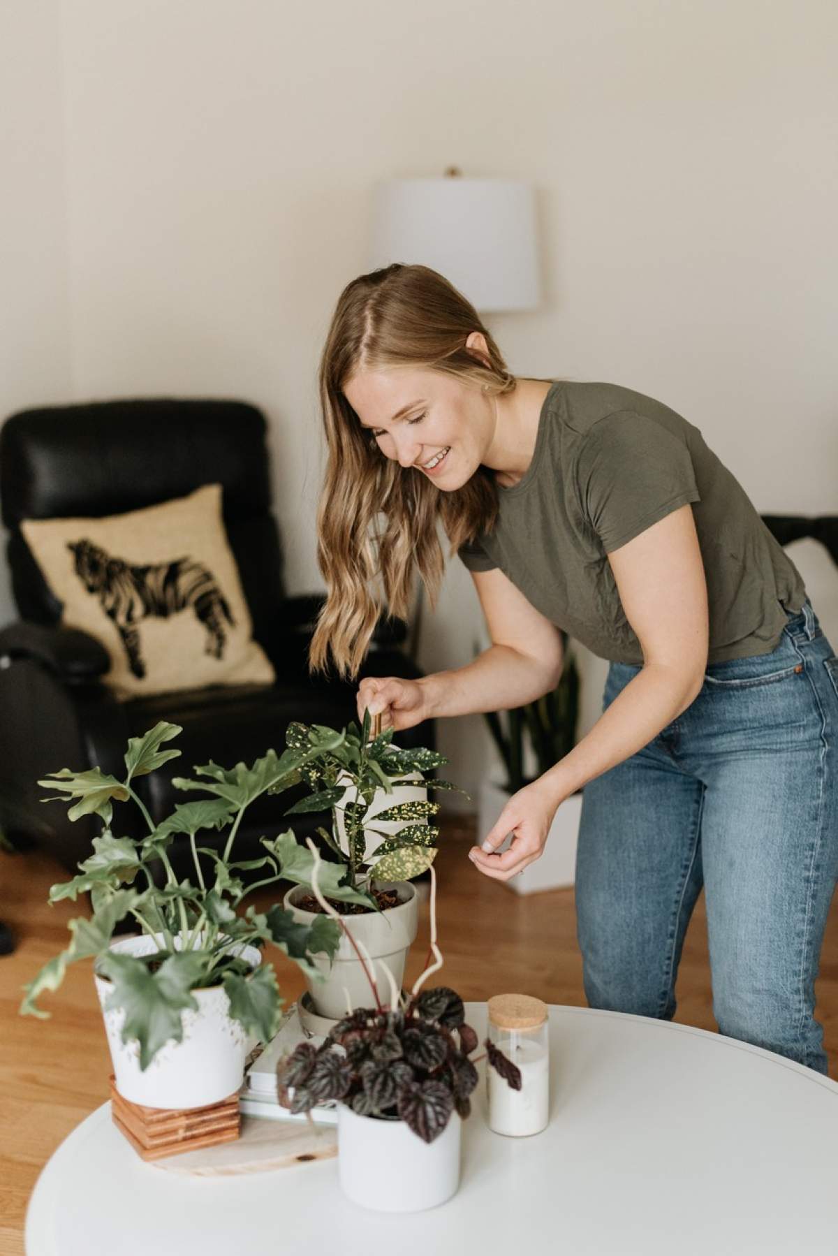 Plante de apartament