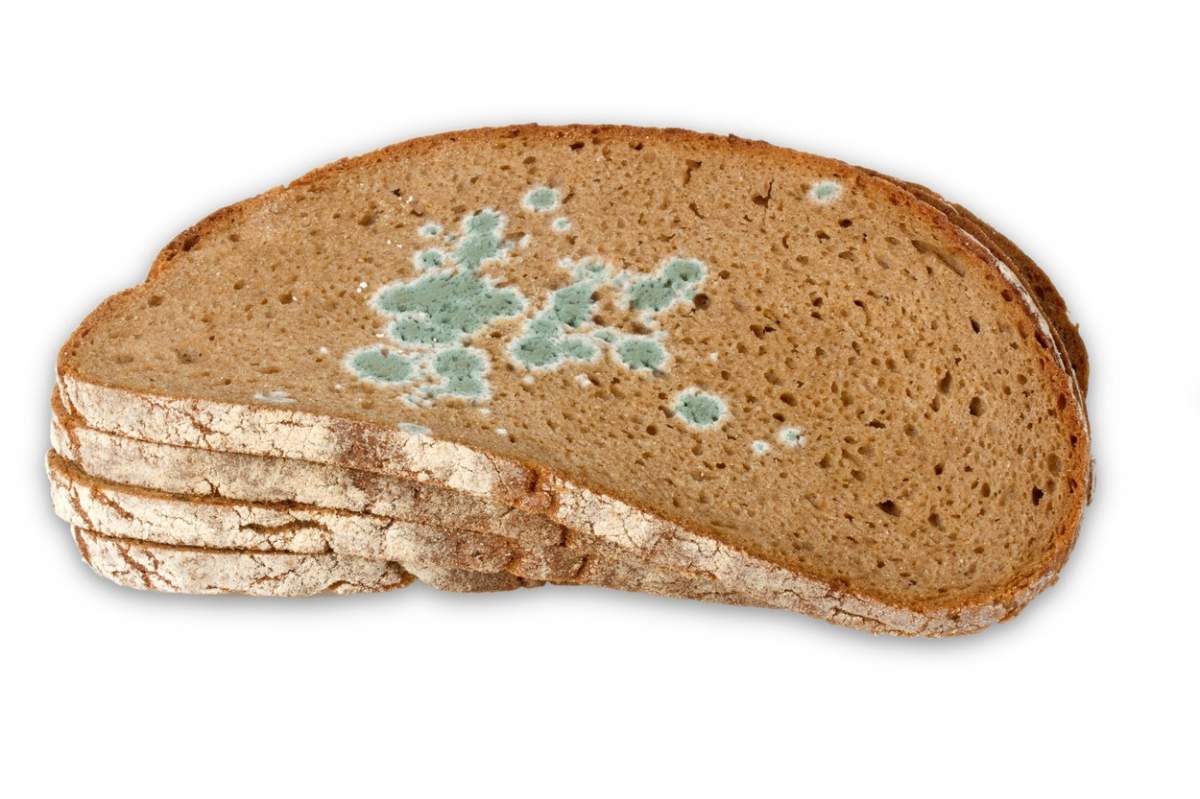 Ce se întâmplă dacă mănânci pâine mucegăită. Dezvăluirile făcute de specialiști 
