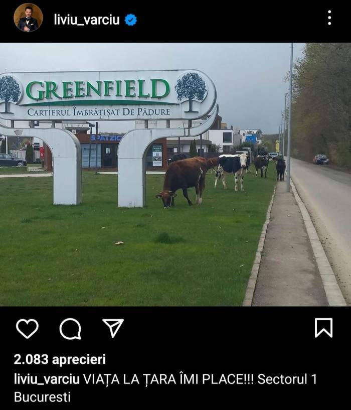 Panică acasă la Liviu Vârciu! A fost invadat de vaci: ”Viața la...” / FOTO