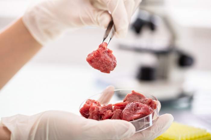 Italia va interzice un nou aliment produs în laborator. Încălcarea interdicției atrage amenzi în valoarea de până în 60.000 de euro