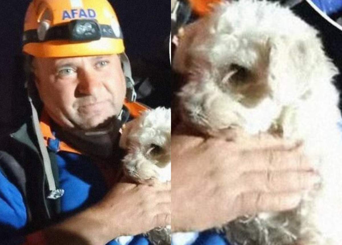 Imagini emoționante! Un câine a fost salvat de sub dărâmături după 25 de zile de la cutremurele devastatoare din Turcia / FOTO