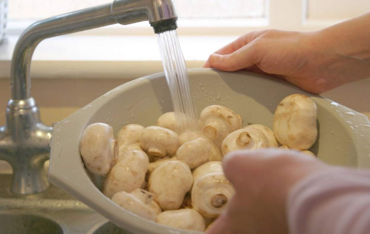 De ce nu este bine să speli ciupercile înainte de a le găti. Greșeala pe care gospodinele trebuie să o evite