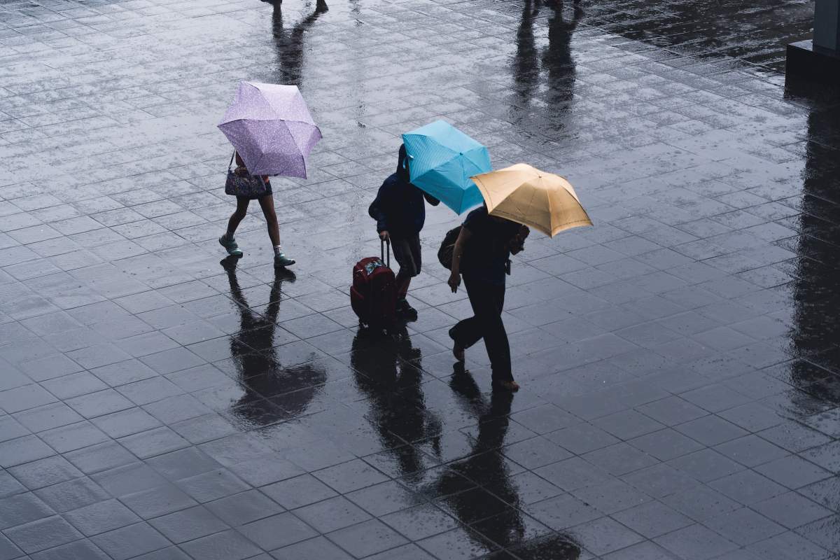 oameni care merg cu umbrele prin ploie