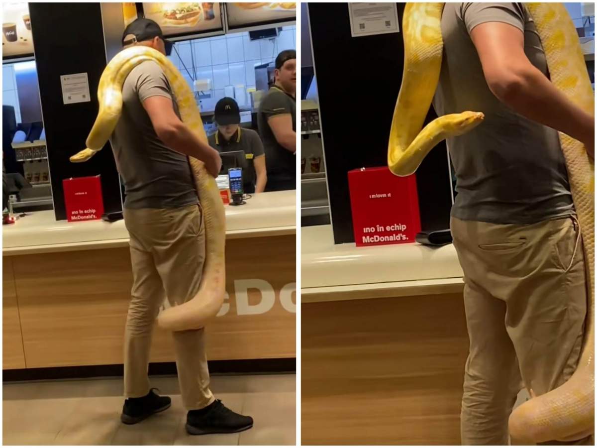 bărbatul cu șarpe pe umăr la mall