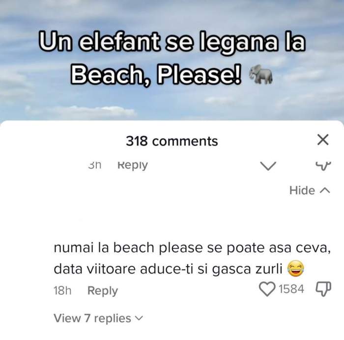 Moment neașteptat la Beach Please! Publicul a plătit bani să vadă artiști, însă au cântat cântece de copii: ”Data viitoare aduceți Gașca Zurli” / VIDEO