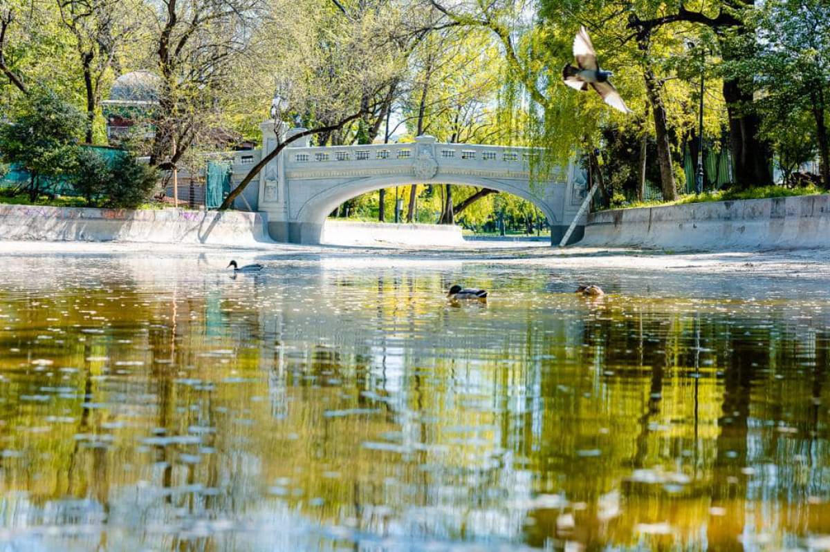 Parcul Cișmigiu, după reabilitarea podului