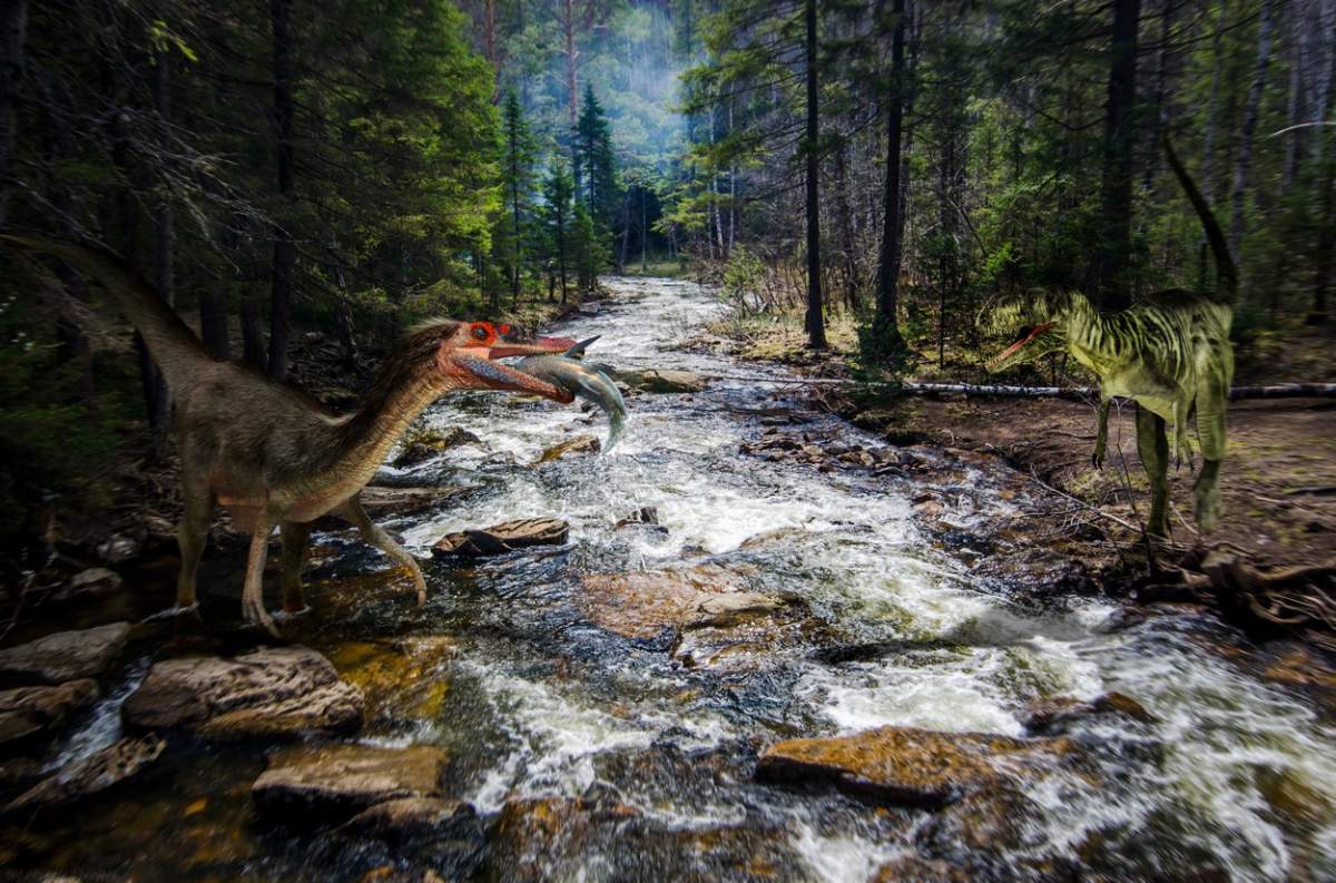 A fost descoperită o nouă specie de dinozaur carnivor. Anunțul făcut de oamenii de știință