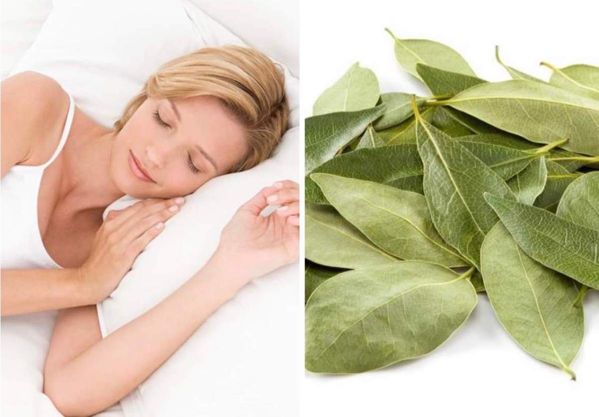 De ce să dormi cu frunze de dafin sub pernă