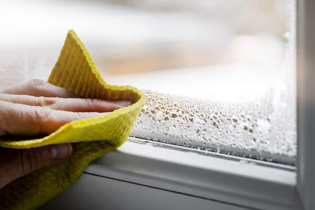 Cum poți scăpa de mucegaiul din casă cu ajutorul unei sticle de plastic. Trucul pe care sigur nu îl știai