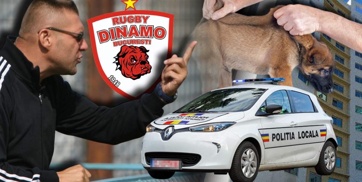 Managerul echipei de rugby Dinamo, acuzat că a aruncat un cățeluș de la etajul 14, pus director la Poliția Locală