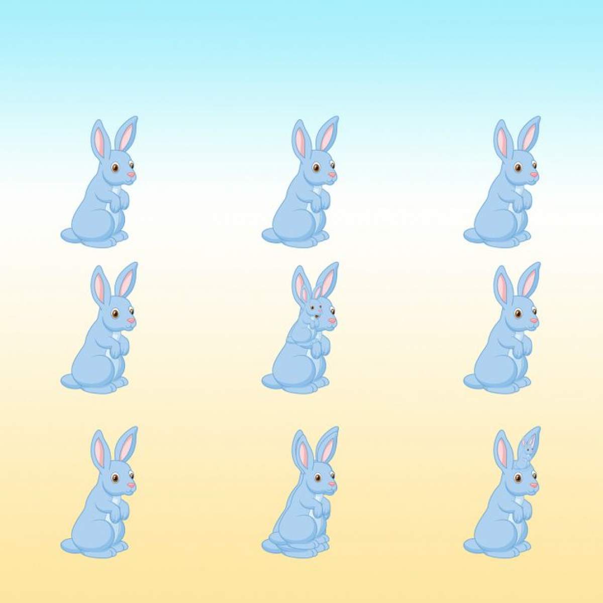 Câți iepuri sunt în imagine?