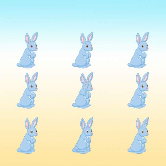 Câți iepuri sunt în imagine?