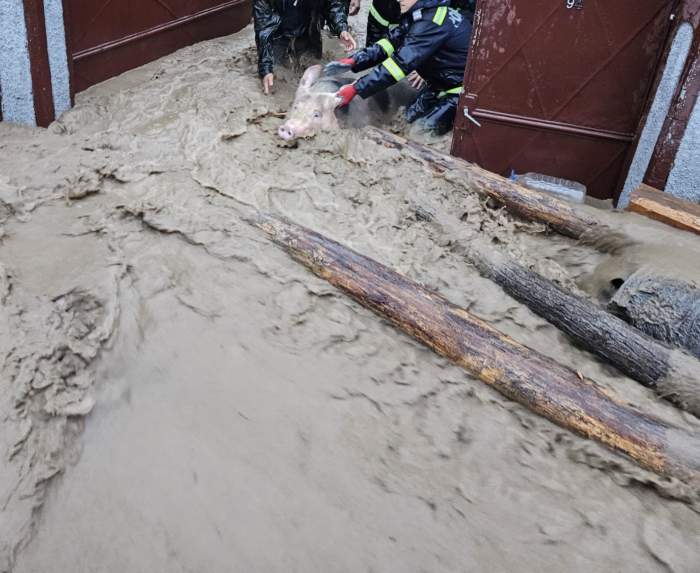 Inundațiile și codul roșul de ploi au făcut ravagii în trei județe din România. Apa a ajuns în casele oamenilor