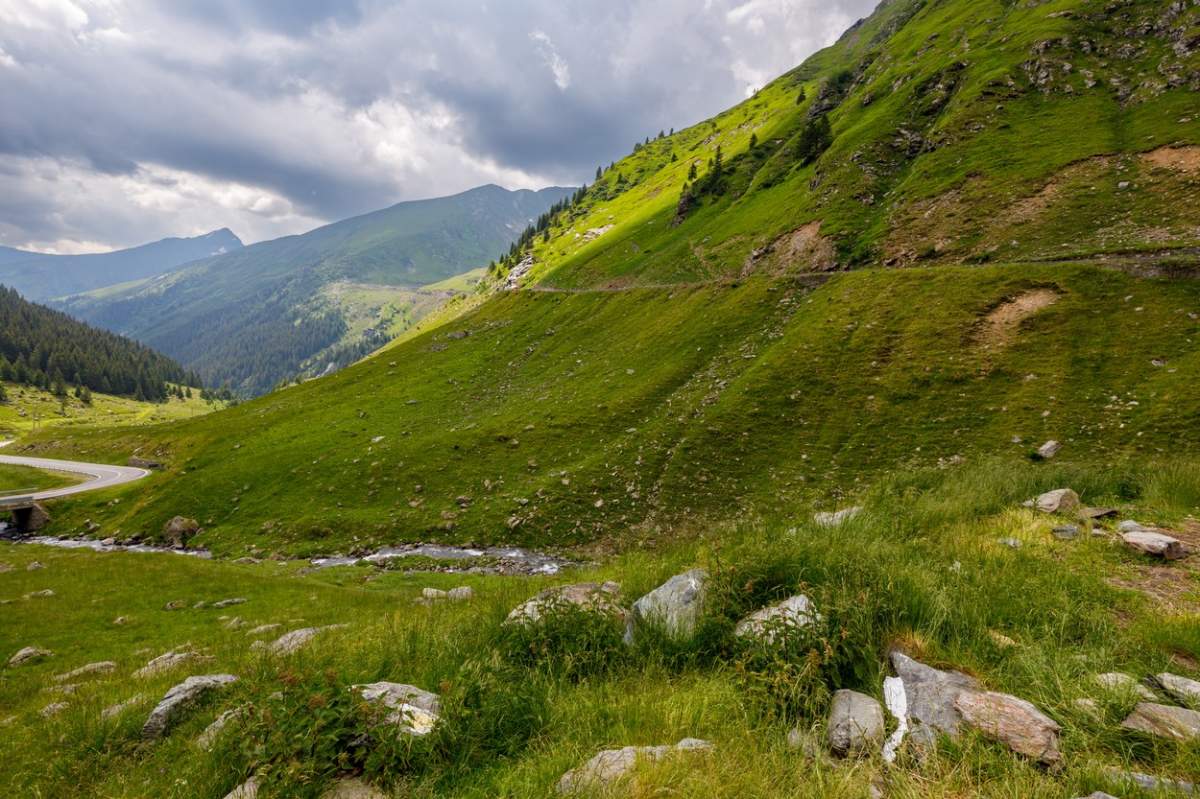 peisaj transalpina