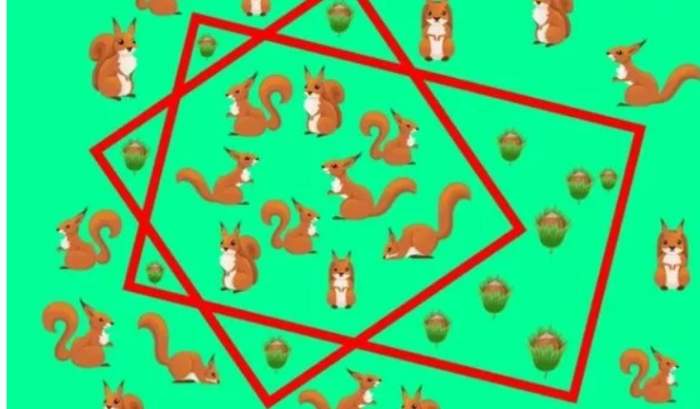 Testul de atenție care arată cât de inteligent ești, de fapt. Poți separa veverițele de alune? / FOTO