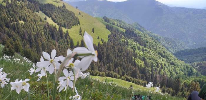 Locul din România unde nu ai voie să fotografiezi sau să filmezi. Dacă încalci această regulă poți fi amendat / FOTO