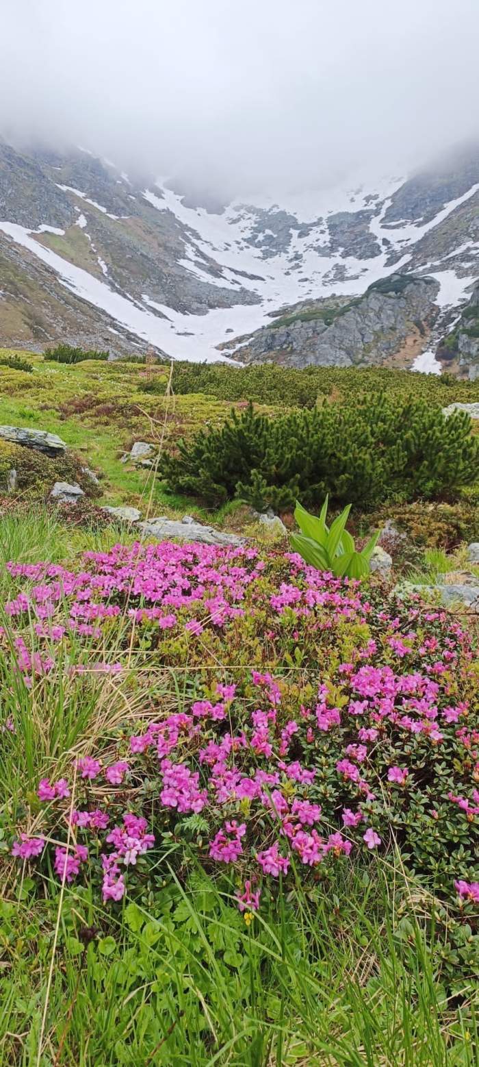 Locul din România unde nu ai voie să fotografiezi sau să filmezi. Dacă încalci această regulă poți fi amendat / FOTO
