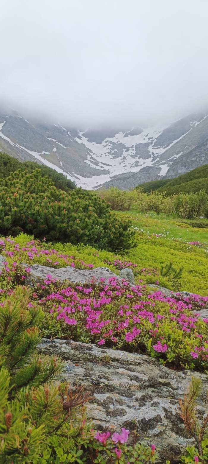 Locul din România unde nu ai voie să fotografiezi sau să filmezi. Dacă încalci această regulă poți fi amendat / FOTO