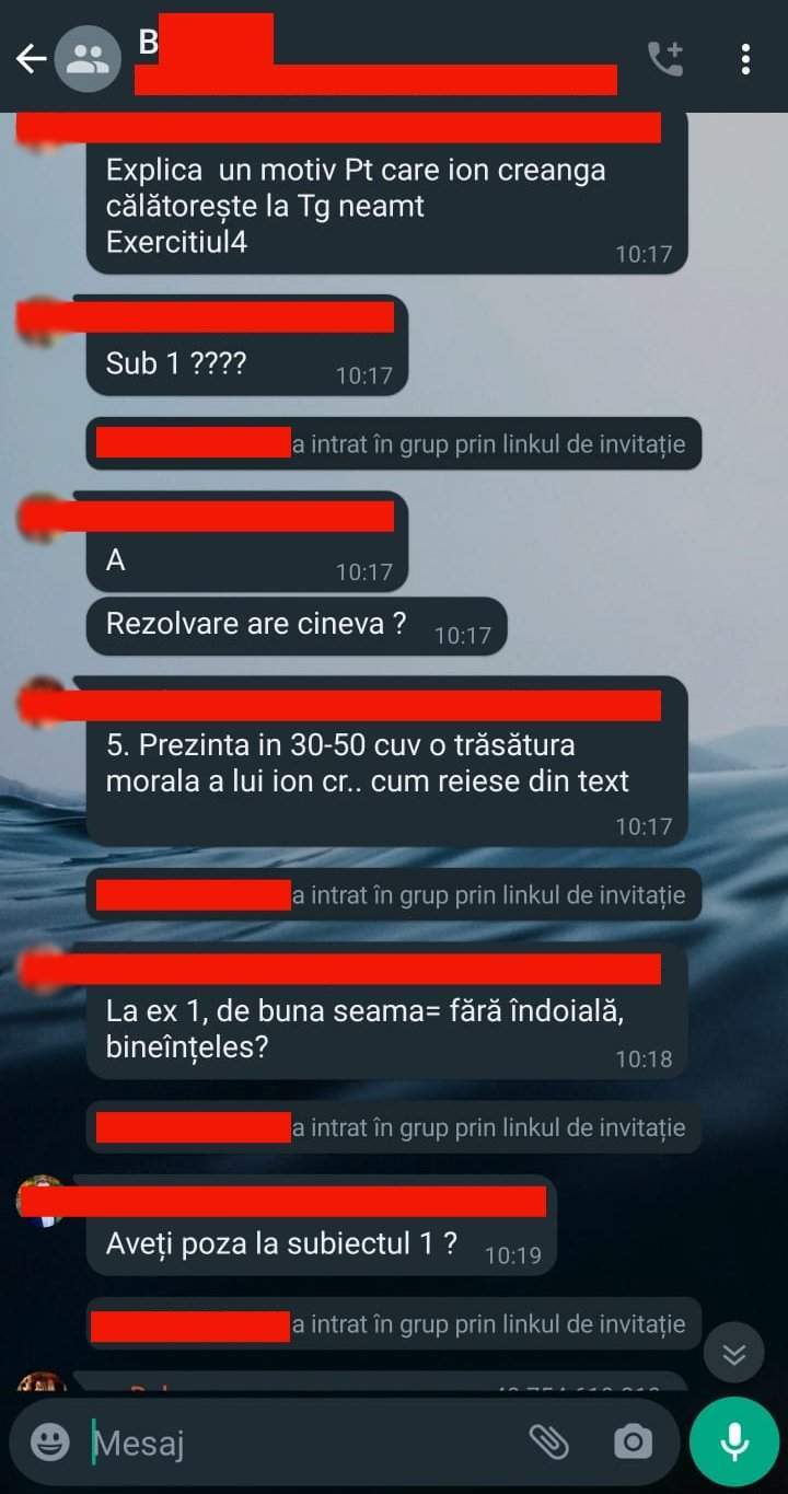 Bacalaureat 2023. Cum a explicat ministrul Educației faptul că un grup de elevi a reușit să copieze la proba de Limba Română: ”Comisia a fost...”