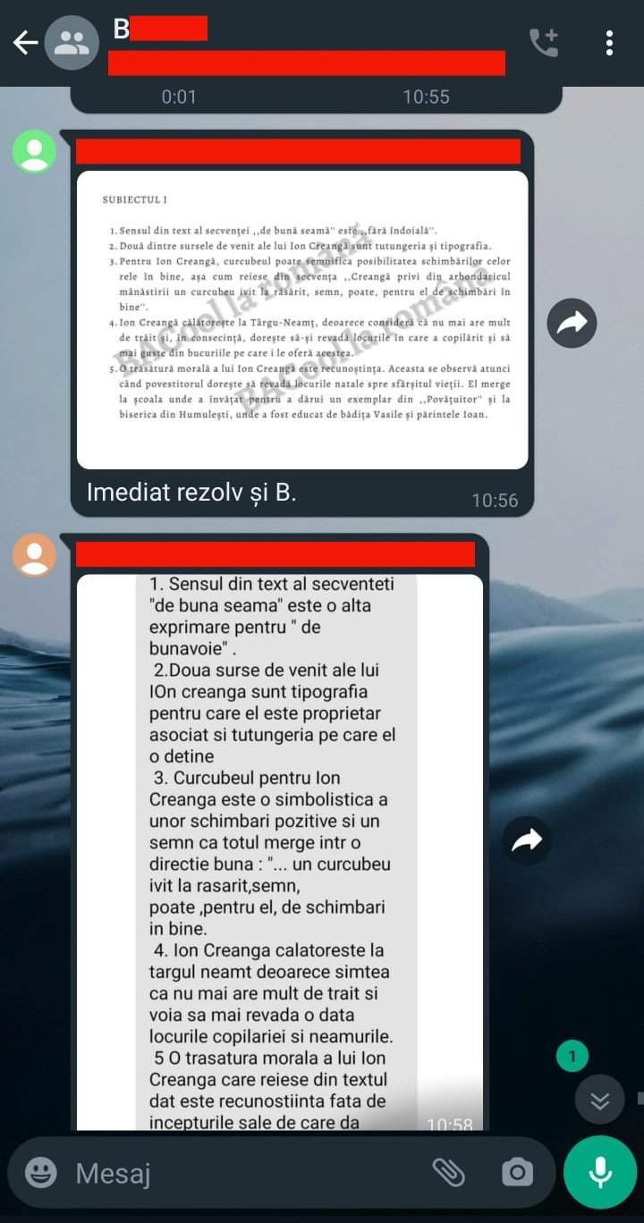 Bacalaureat 2023. Cum a explicat ministrul Educației faptul că un grup de elevi a reușit să copieze la proba de Limba Română: ”Comisia a fost...”