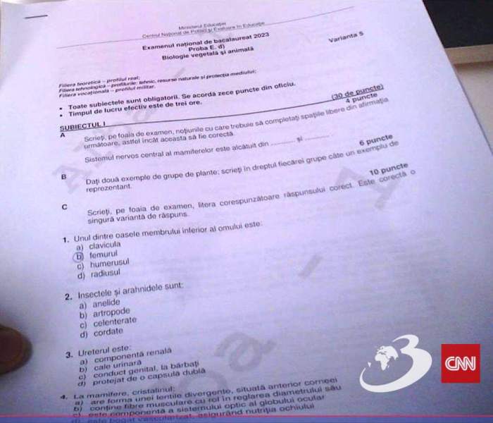 Bacalaureat 2023. Subiectele la proba la alegere au fost publicate. Ce le-a picat elevilor la ultimul examen / FOTO