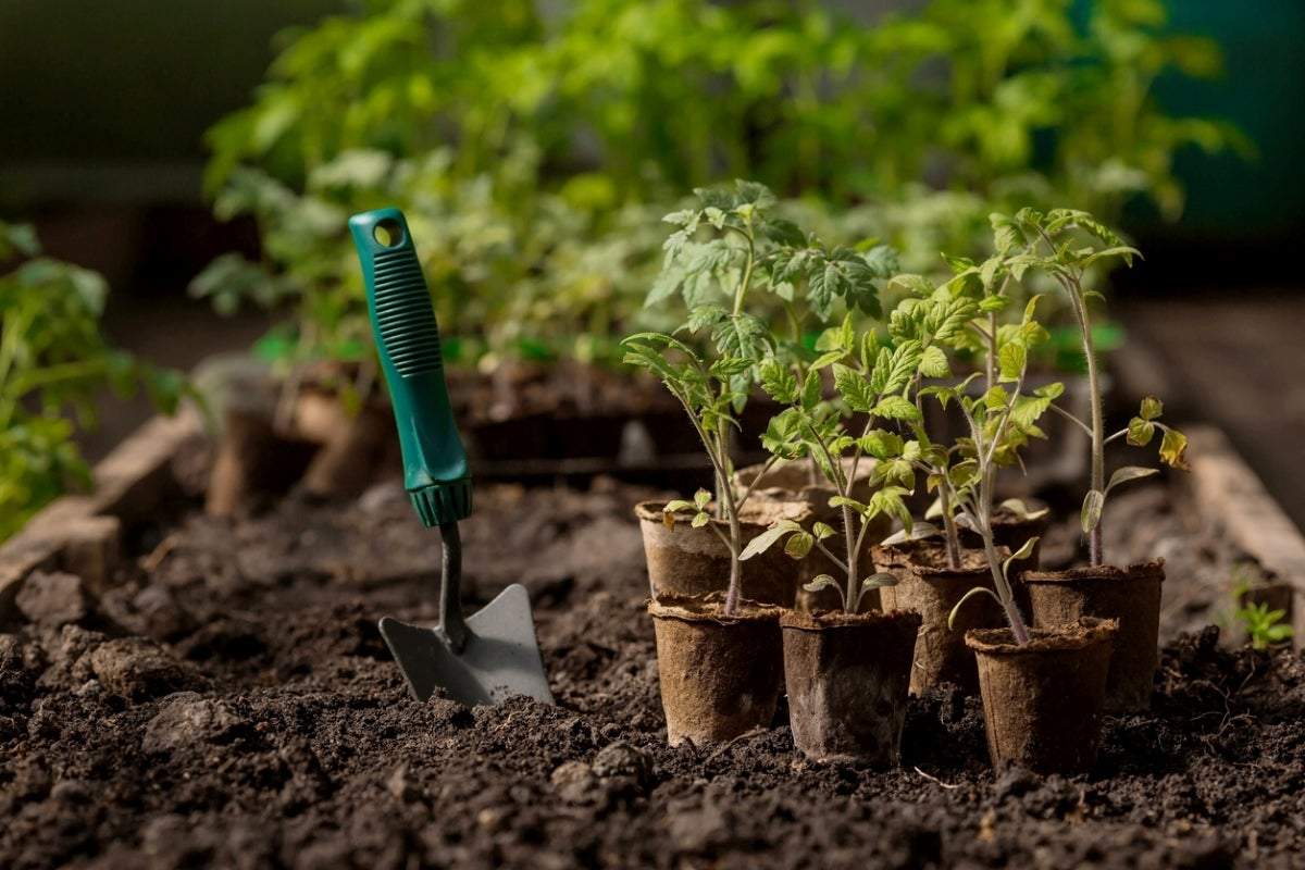 (P) De ce agricultura este importantă pentru societatea modernă?