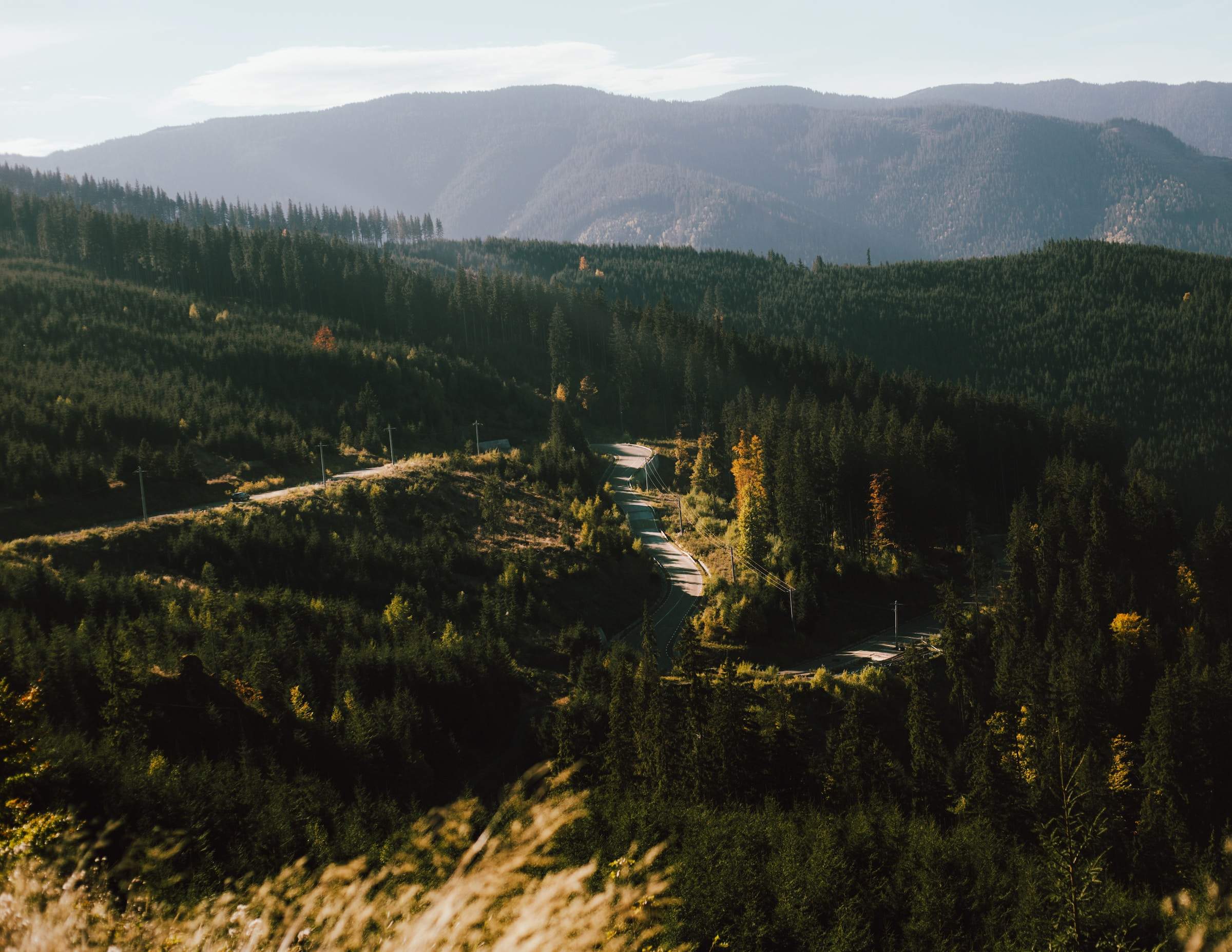 peisaj din Bucovina