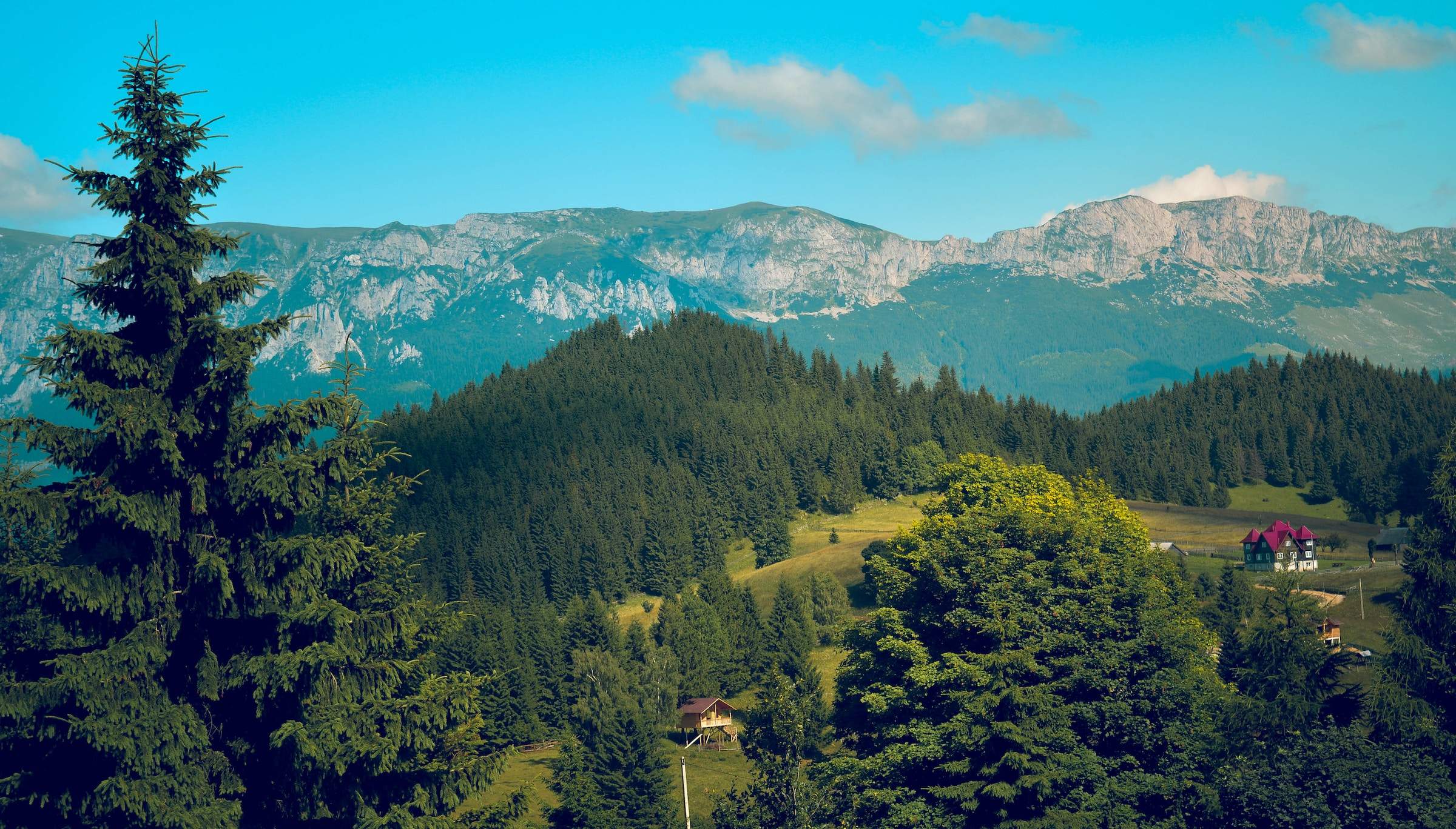 peisaj din Bucovina