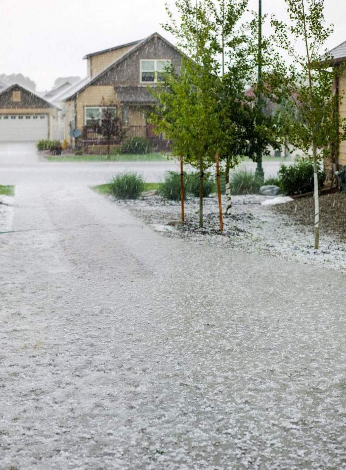 Cod Galben de viituri în România! Care sunt județele vizate 