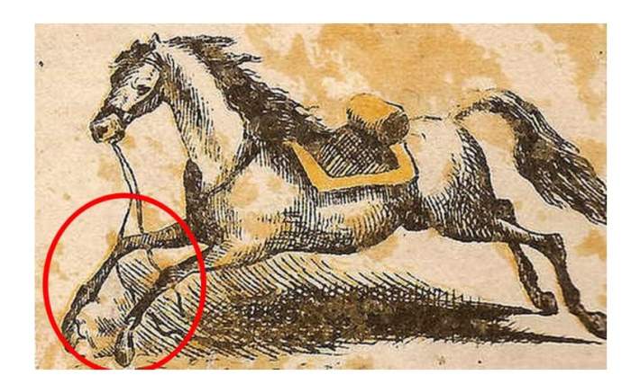 Test de inteligență! Găsește călărețul din imagine în doar 5 secunde! / FOTO