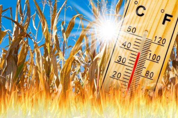 Avertisment ANM! Temperaturi de peste 40 de grade în România. Un blocaj de aer cald se va opri deasupra Europei