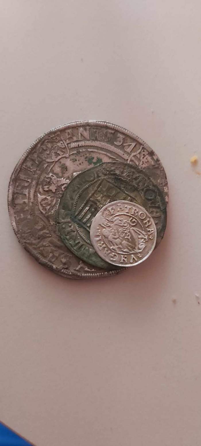 Comoară, descoperită după 500 de ani într-o pădure din Bihor. Pasionații au găsit aproape 5.000 de monede: „Ne-au dat lacrimile” / FOTO
