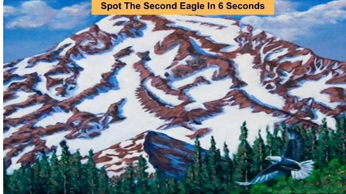 Tu poți să găsești vulturul din imagine?