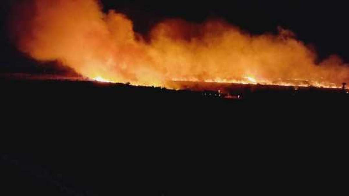 Pompierii au fost alertați marți seară. imagine de la locul incendiului din Constanța