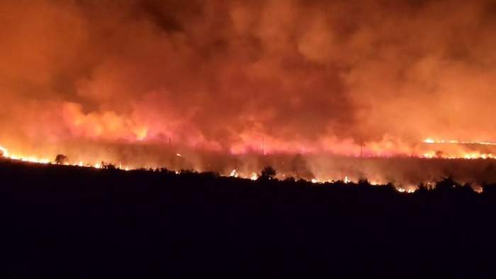 Un incendiu devastator a izbucnit într-o zonă de vegetație din Constanța. Flăcările s-au aprins aproape de spitalul pentenciarului / FOTO