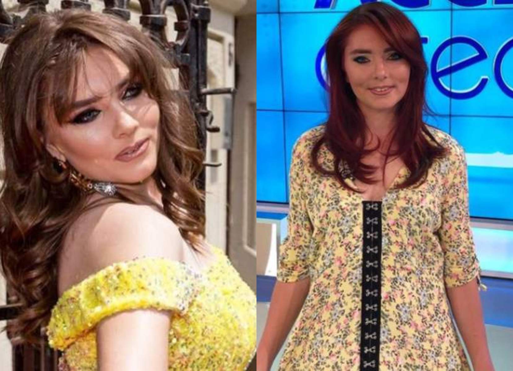 colaj din doua poze cu vulpita