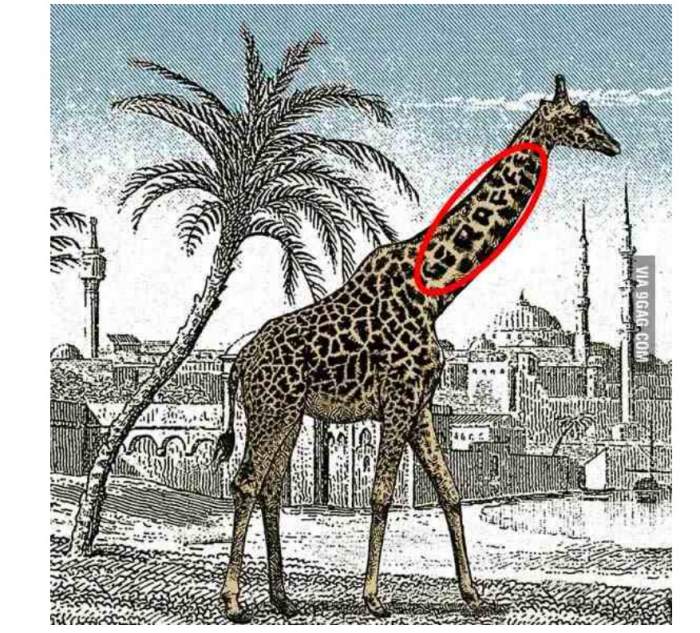 Testul de atenție care îți va da mari bătăi de cap! Doar Sherlock Holmes poate observa a doua girafă din imagine în doar 6 secunde / FOTO
