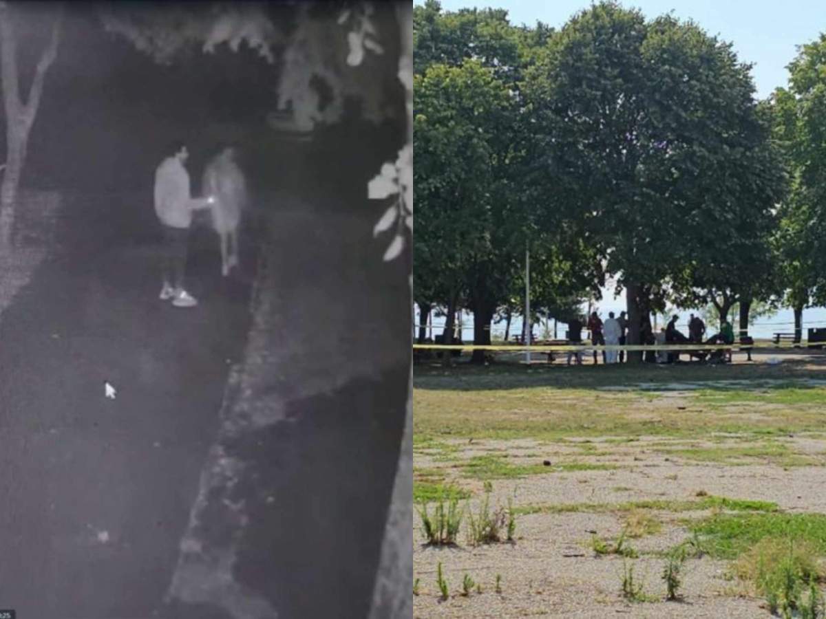 Doi tineri au văzut valiza și au sunat la 112. imagini din parcul din Mangalia