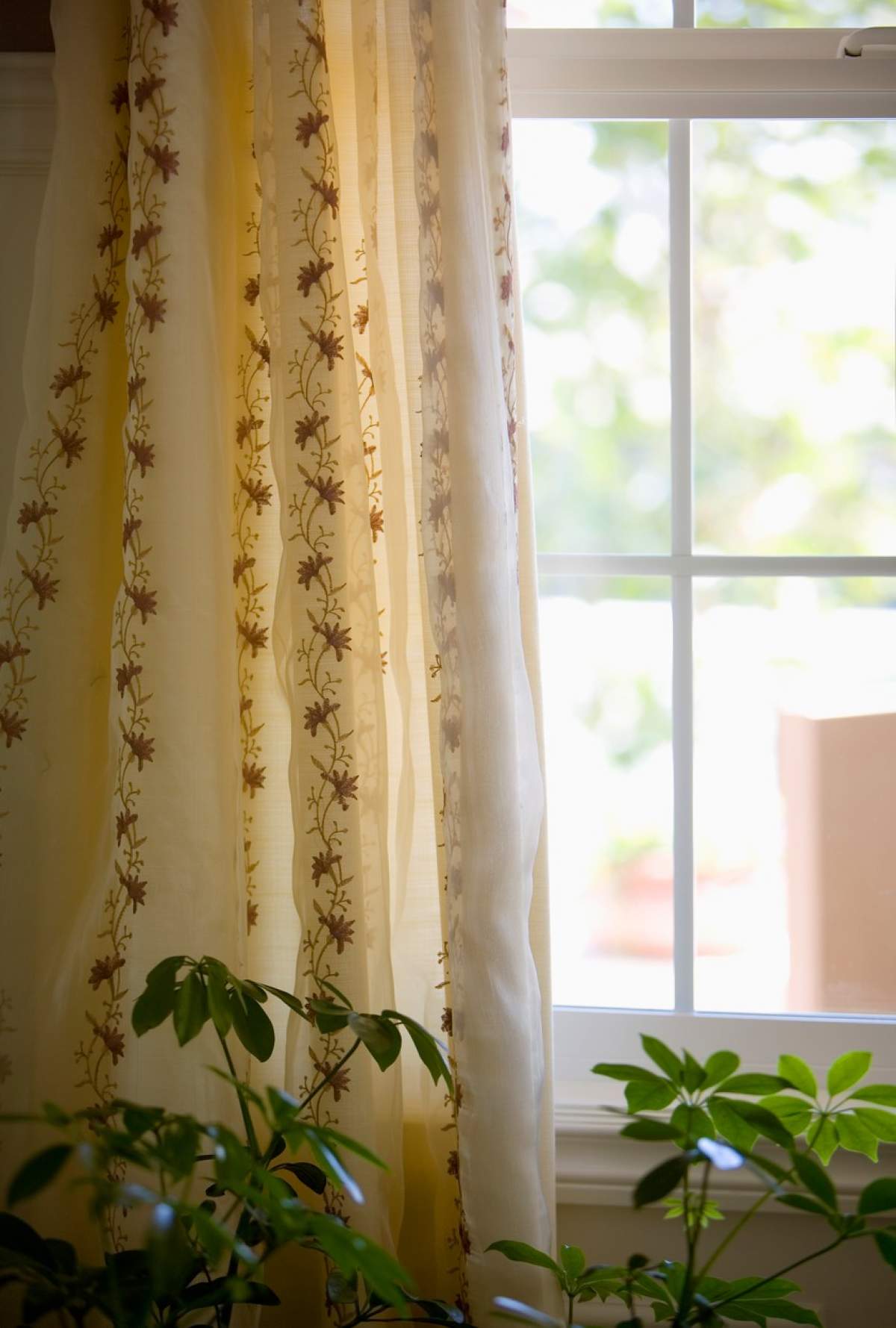 Fotografie cu draperii și perdele la geam
