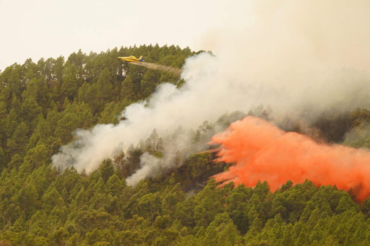 Incendii în Tenerife