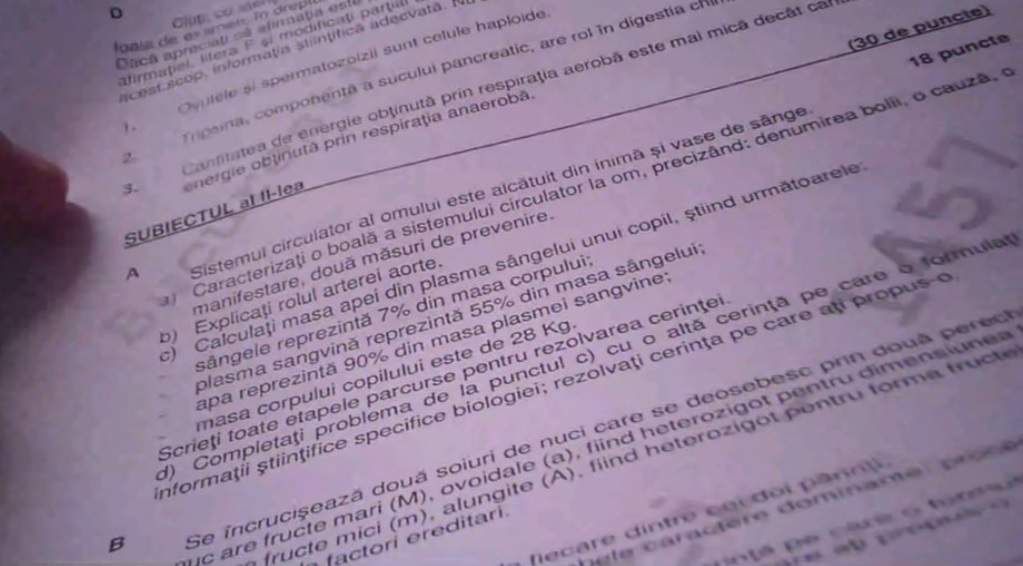 Bacalaureat 2023, sesiunea de toamnă. Au fost publicate subiectele probei la alegere a profilului