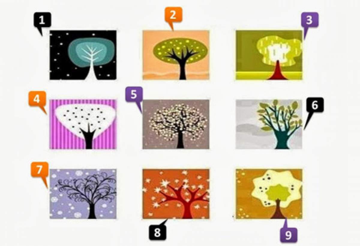 Test de personalitate. Alege un copac din imagine și vezi ce fel de persoană ești