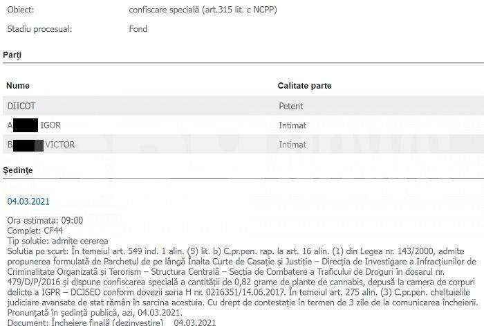 România, transformată în plantație de cannabis sub nasul DIICOT / Afaceristul care face milioane, iertat de procurorii antidrog