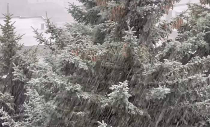 Orașul din Europa unde a nins în plină vară! Zilele trecute au fost înregistrate 30 de grade. Stratul de zăpadă măsoară 5 cm / FOTO