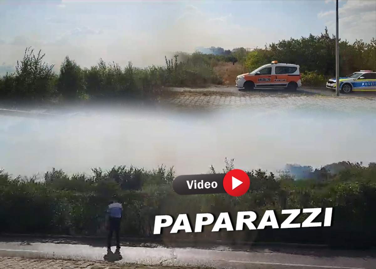 Incendiu de vegetație în Băneasa. În aceste momente arde câmpul de lângă aeroport / VIDEO PAPARAZZI