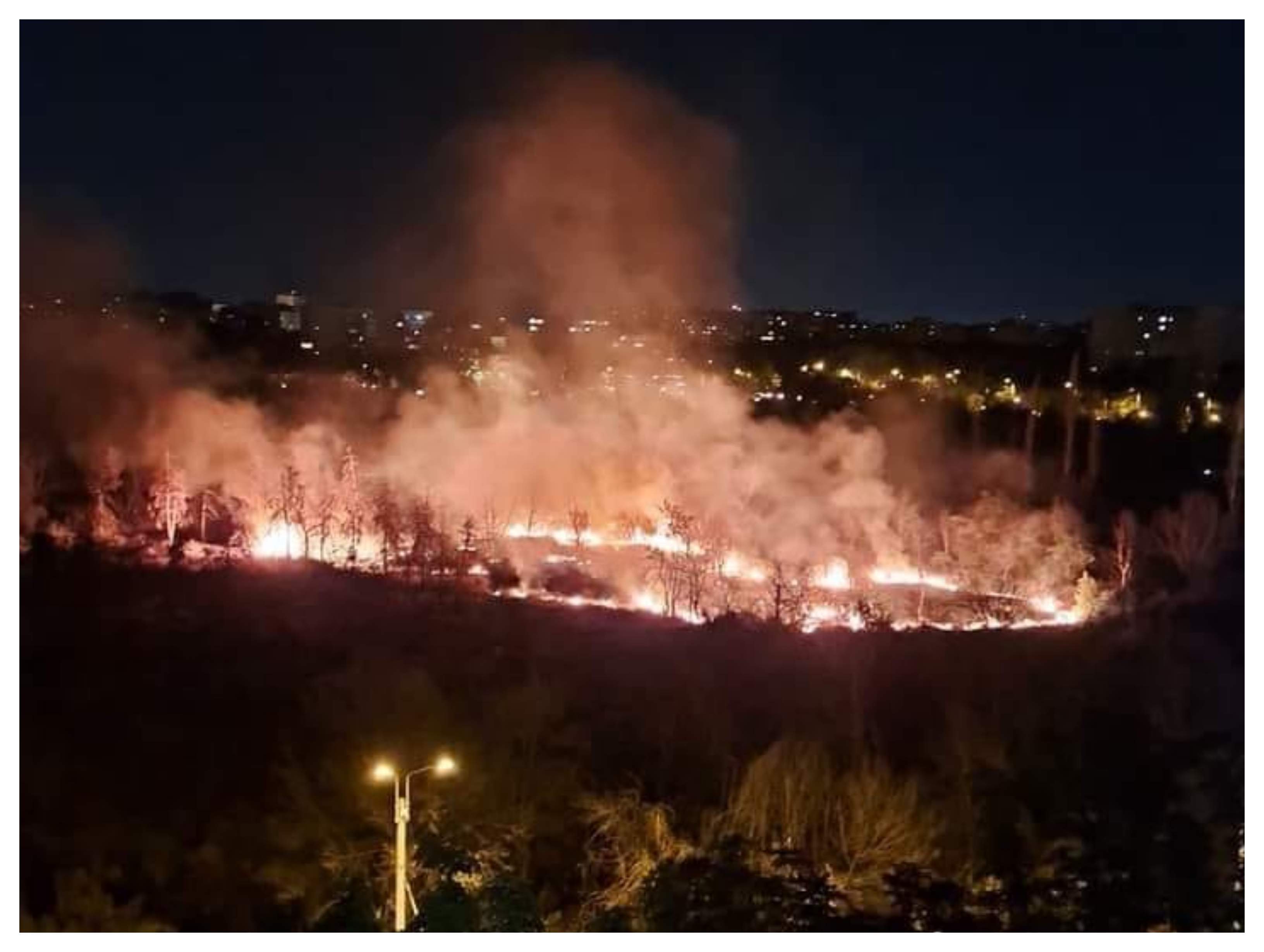 Incendiu puternic în parcul IOR din București. Mai multe autospeciale au sosit la fața locului