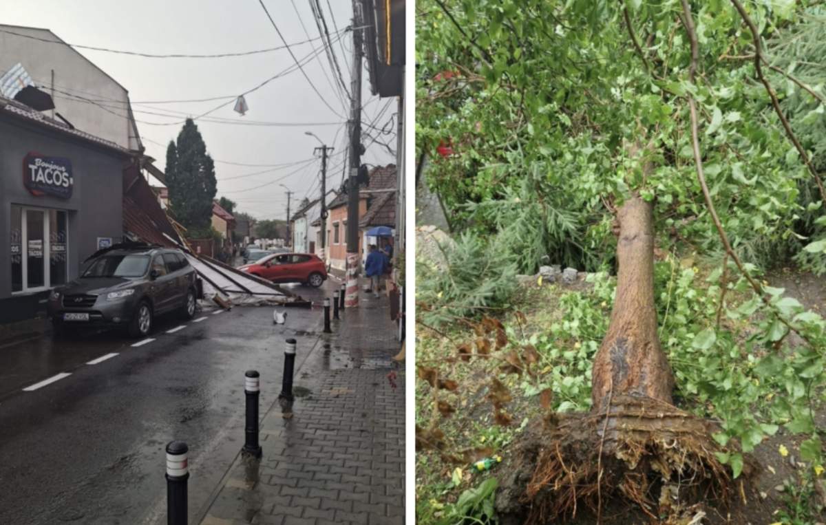 Capitala, în urma furtunii de azi-noapte Vremea rea a făcut prăpăd în mai multe zone ale României. Capitala, blocată din cauza inundaţiilor și a copacilor căzuți