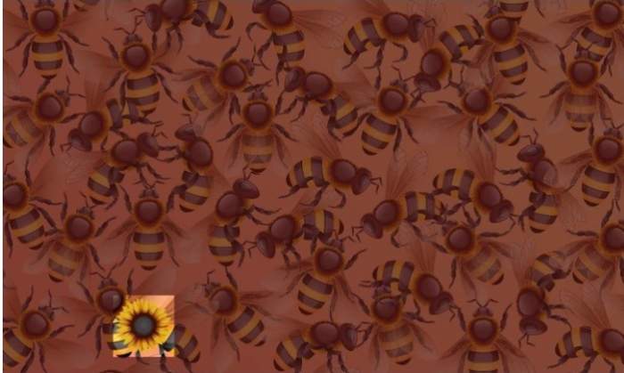 Test iluzie optică! Identifică floarea soarelui ascunsă printre albinele din imagine în doar 11 secunde / FOTO