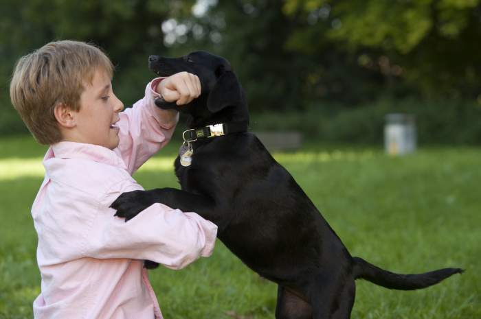 Fotografie cu un câine care mușcă și un copil
